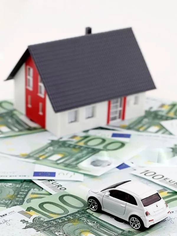 wealth-money-home-car Wealth Ritual Kit